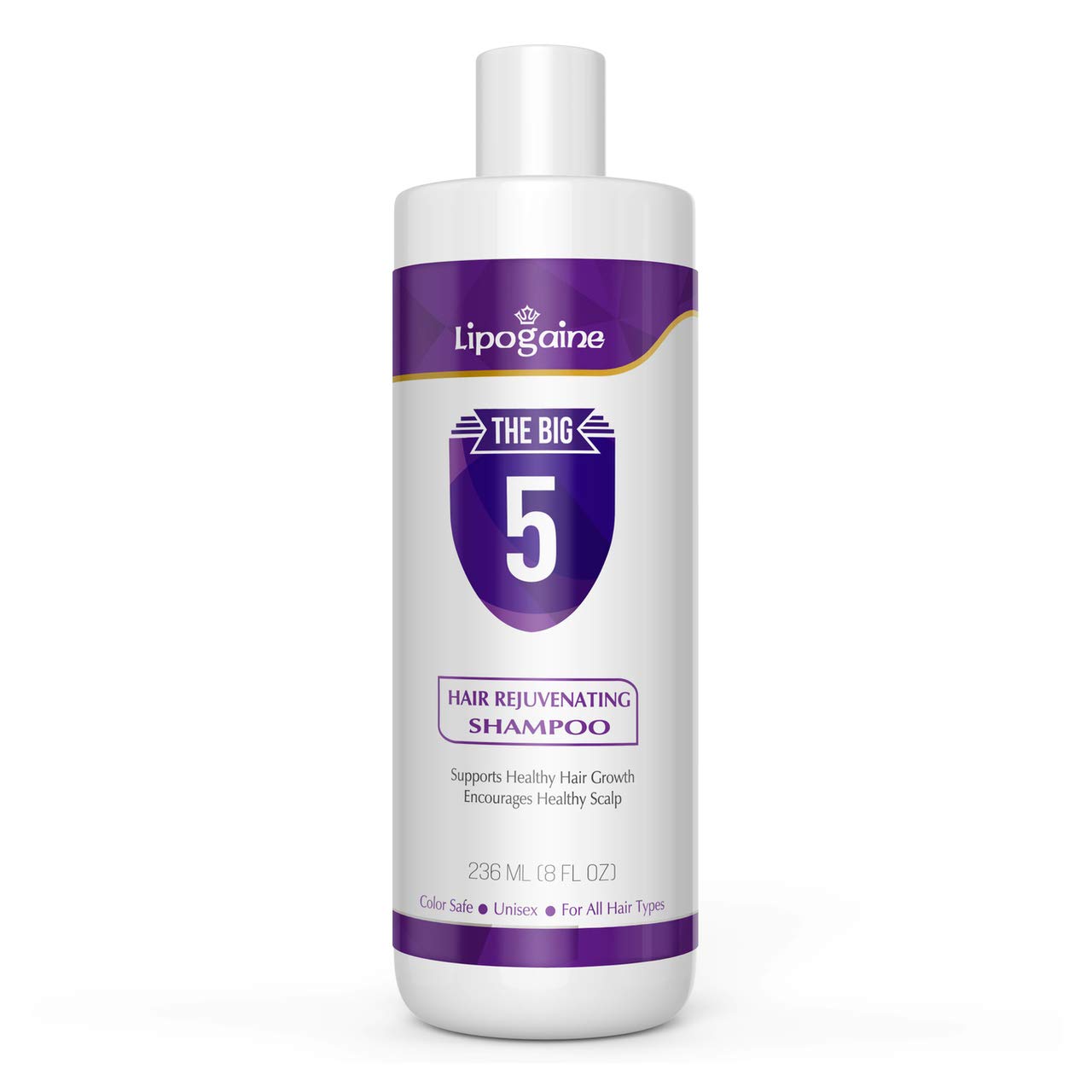 Lipogaine Big 5 Hair Stimulating All Natural Shampoo for Hair Thinning & Breakage (purple) (16oz)