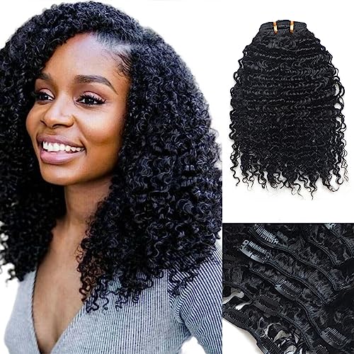 Luwigs Afro Kinky Curly 3B 3C Clip in Hair Extensions for Black Women Real Brazilian Virgin Human Hair Clip Ins Natural Color 7pcs/set (18 inches, 3B 3C Afro Kinky Curly)