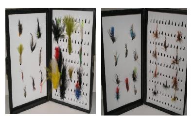 Somers Complete Trout Collection